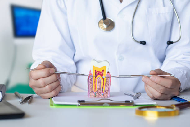 Best Emergency Root Canal Treatment in Cold Spring Harbor, NY